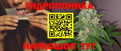 гашик Волгодонск