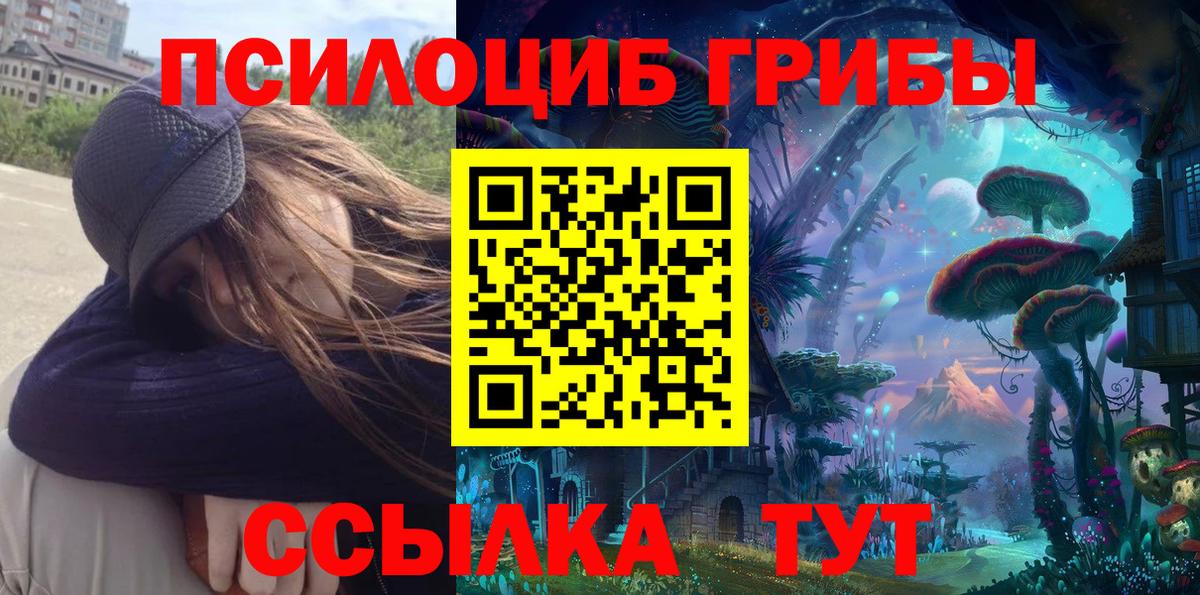 Галлюциногенные грибы Cubensis  Псилоцибиновые грибы прущие грибы  Новый Уренгой  Вход с VPN 